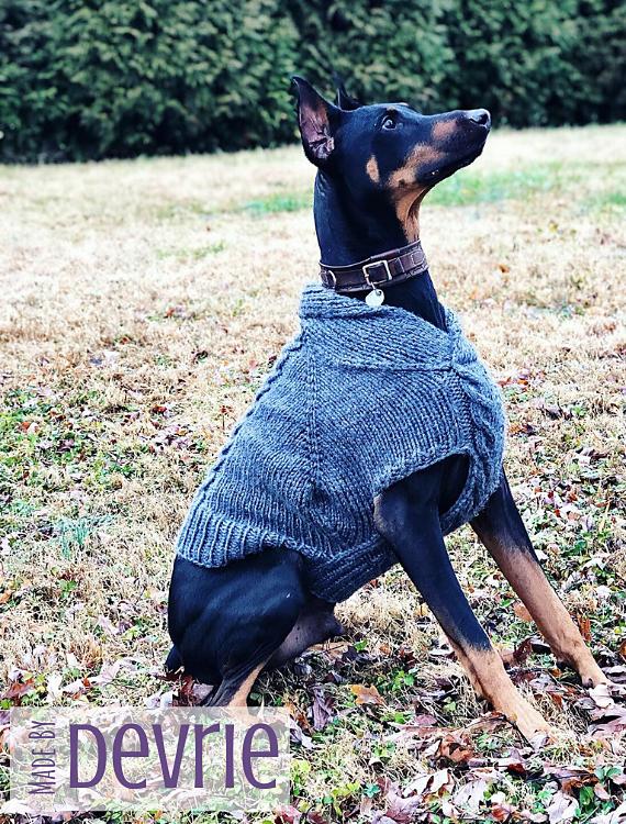 Maximus Dog Sweater