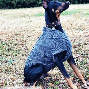 Maximus Dog Sweater