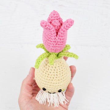 Tulip Bulb