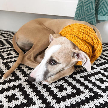 Doggo no 4 scarf