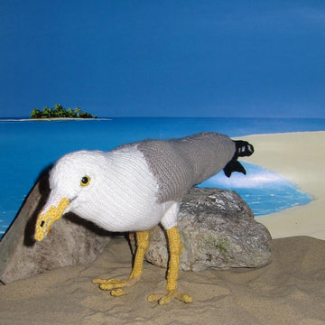 My Pet Seagull