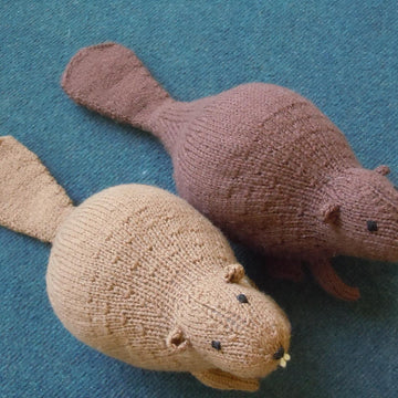 Liam's Beaver