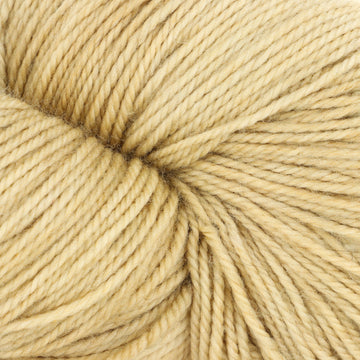 Maple