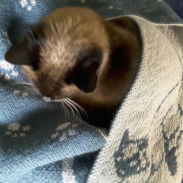 Neko Cat Scarf