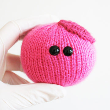Stem Cell
