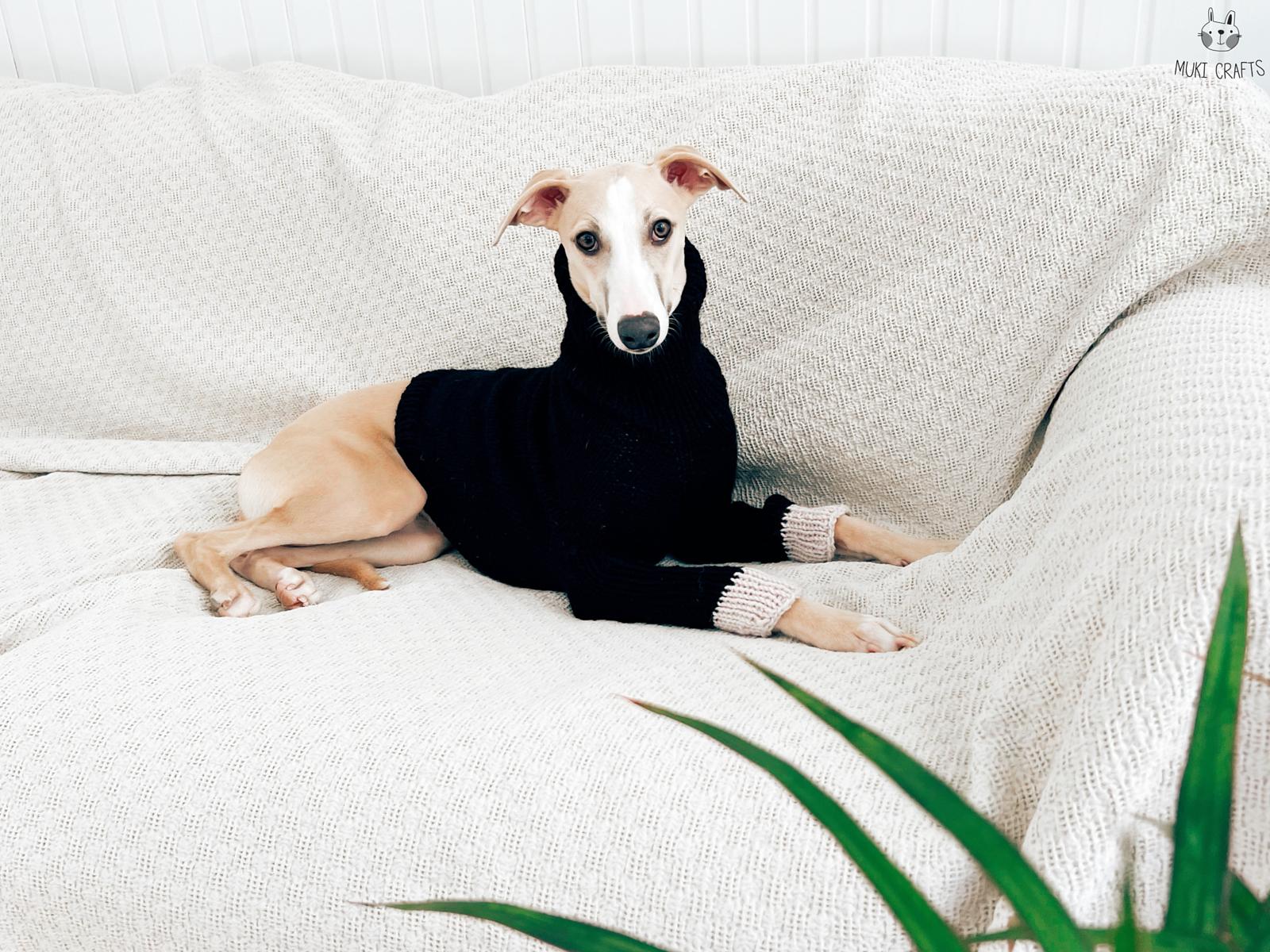 Doggo no 9 sweater