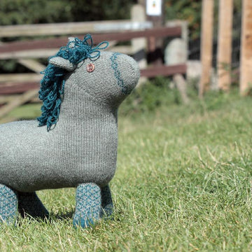 Shetland Pony