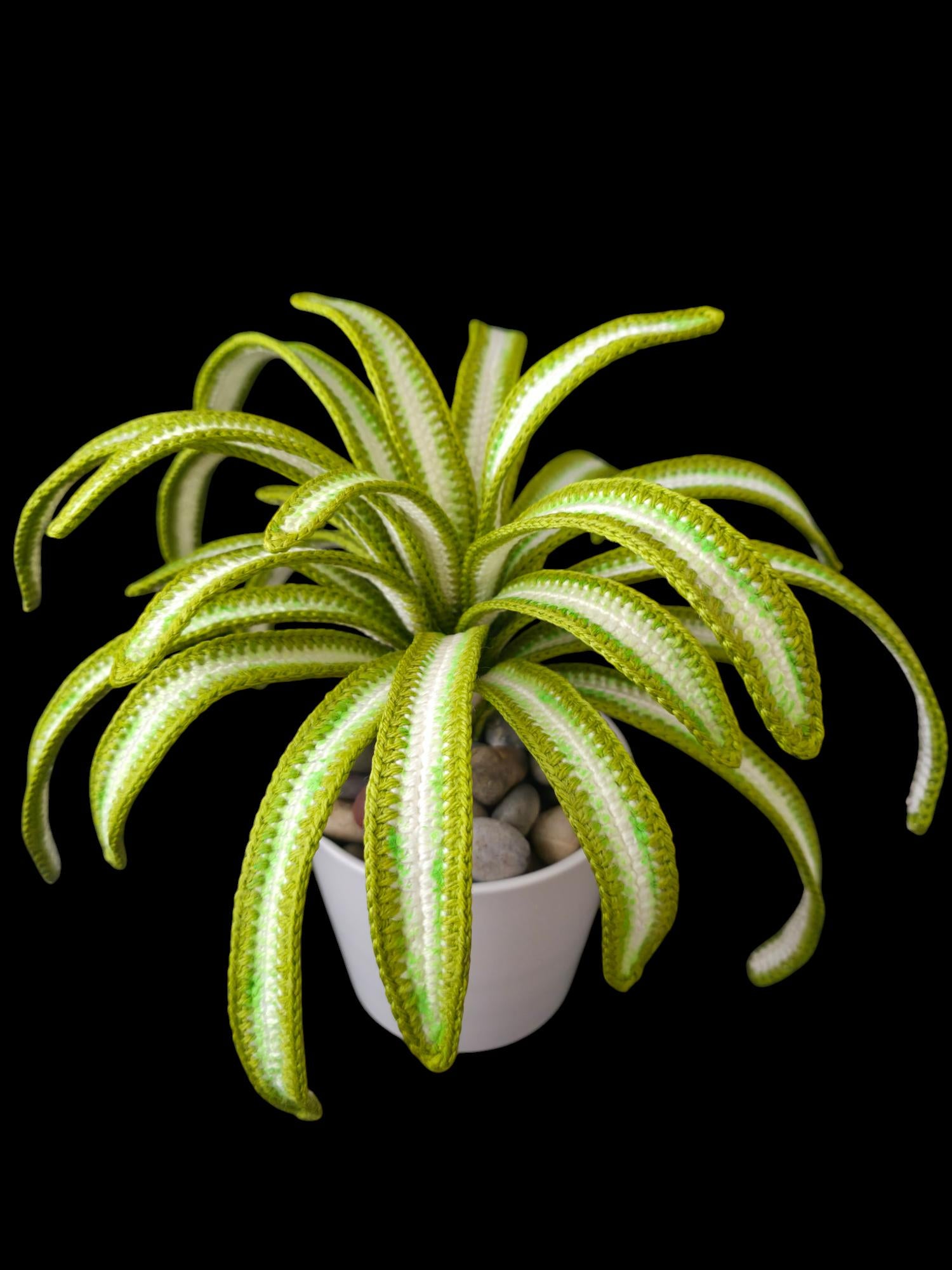 Crochet Spider plant pattern