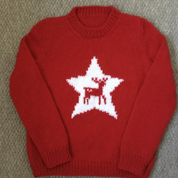 Reindeer Star sweater