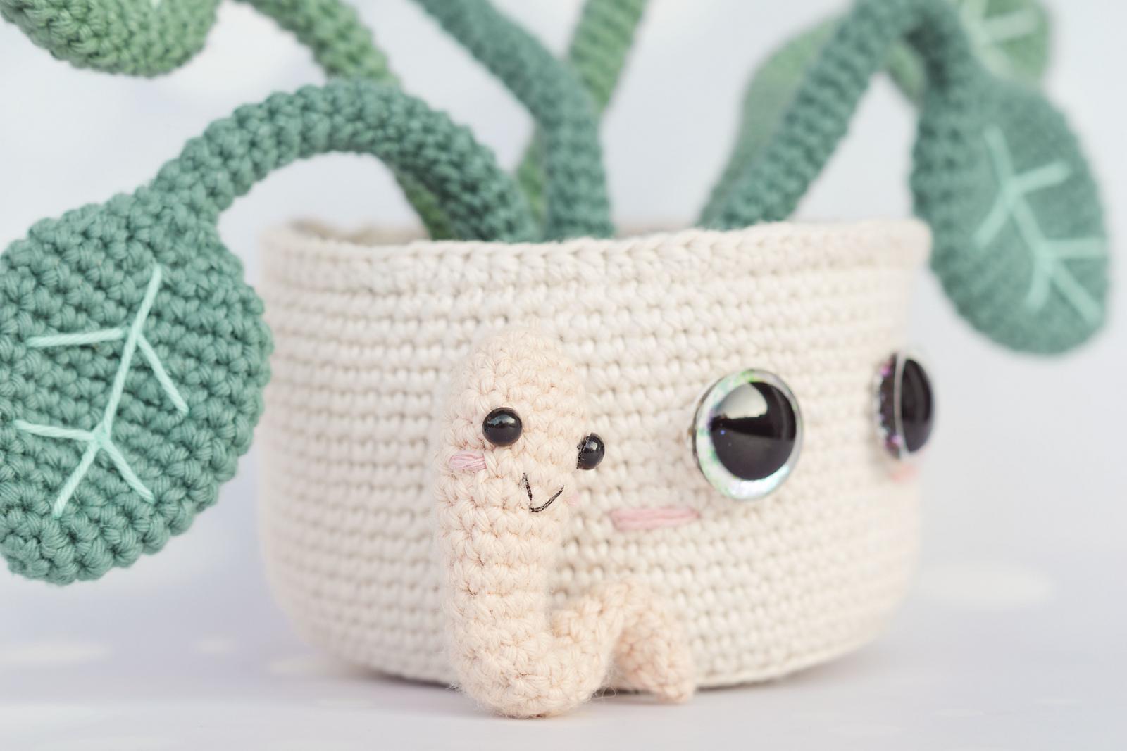 Plant and Worm