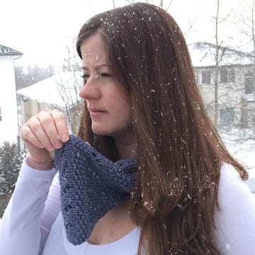 Through The Blizzard