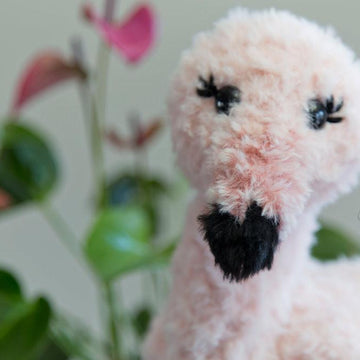 Fable the Flamingo