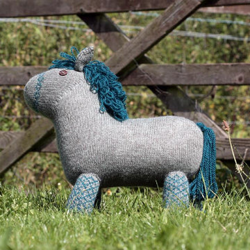 Shetland Pony