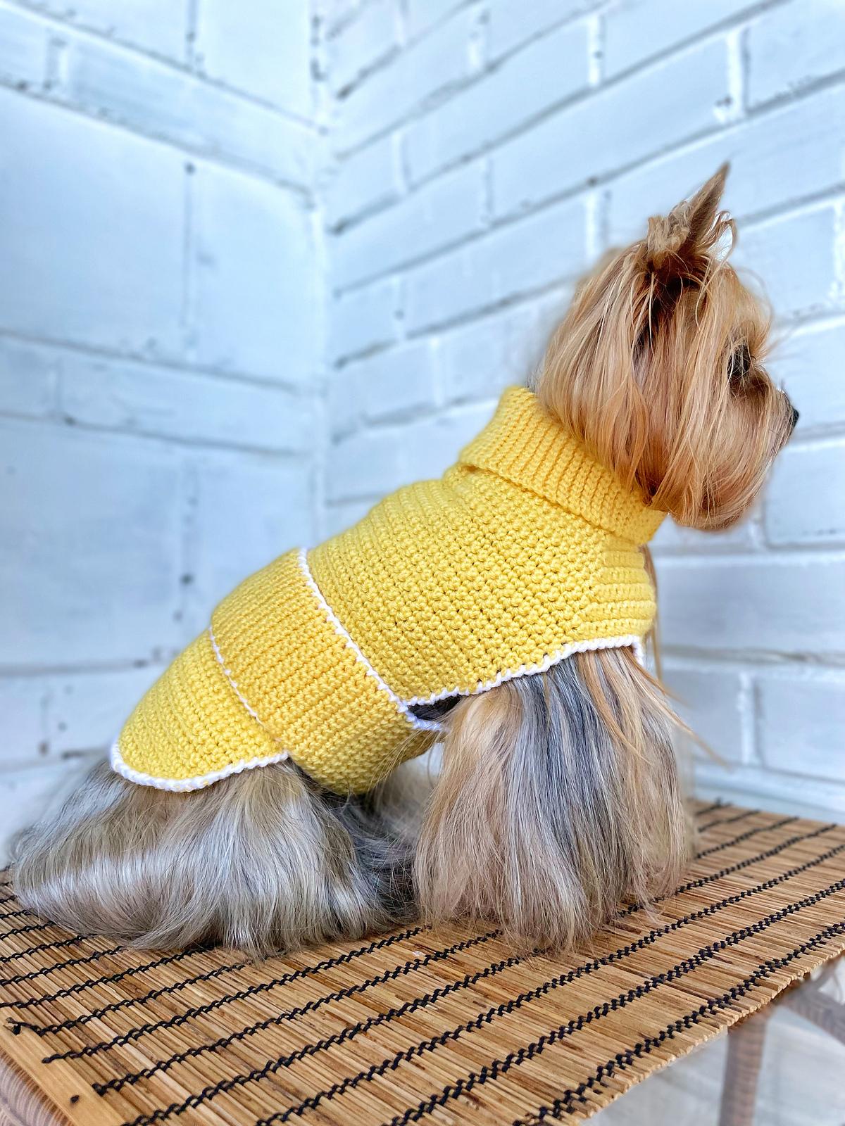 Yellow Dog Blanket Vest