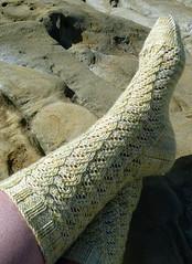 Port Ludlow Sock