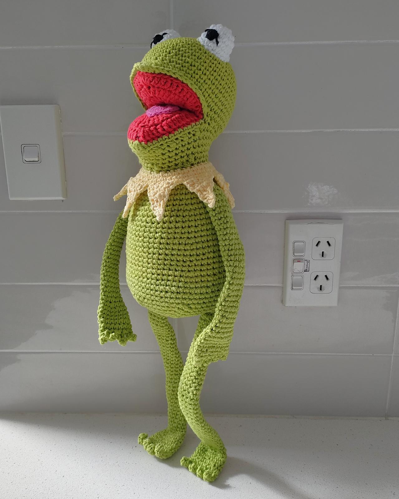 FREDDY THE FROG