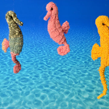 Seahorse