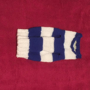 Two Colour Striped Sweater for Small Dogs