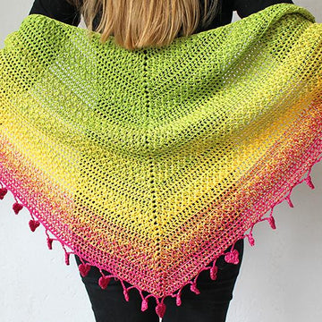 Lovely Luisa Shawl