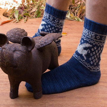 Pigasus Socks