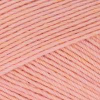 Apricot Meliert (02242)