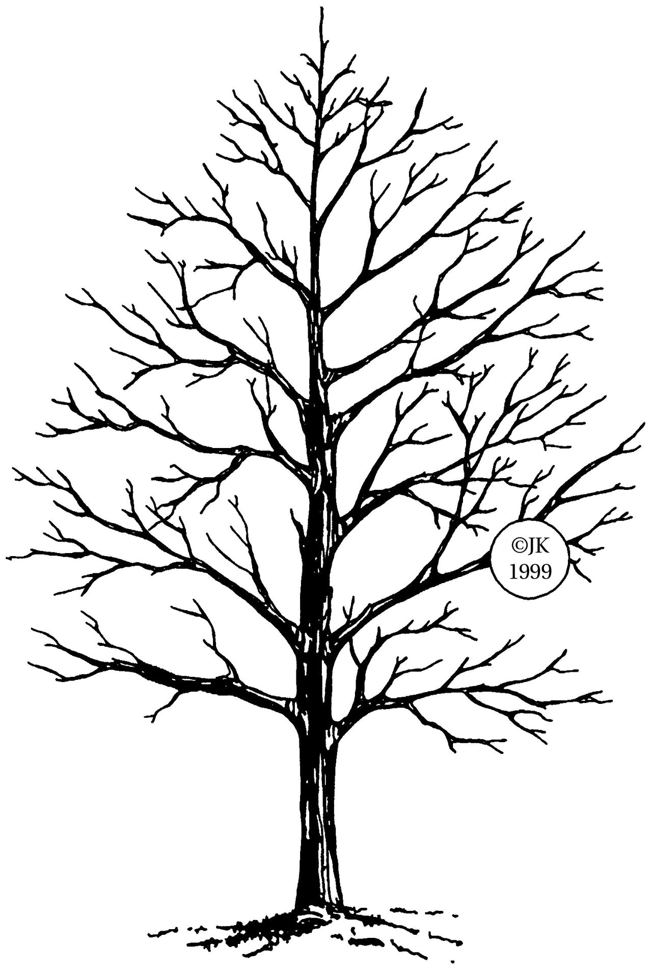 Judikins Rubber Stamp 4"X2.75" - Winter Tree