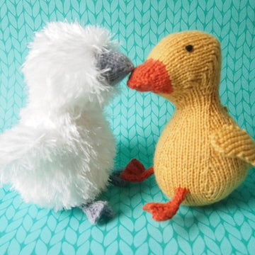 Baby Swan / baby duckling