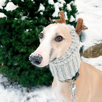 Doggo no 8 snood