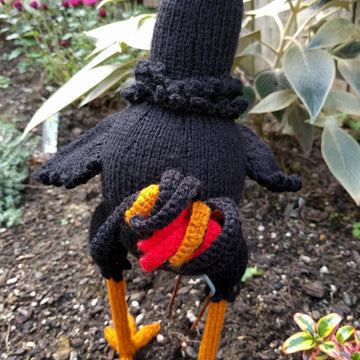 Rory the Rooster