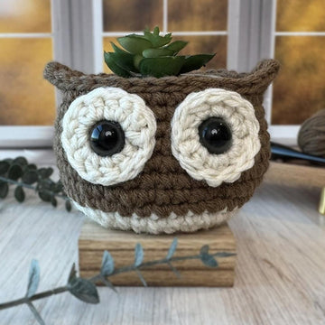 Little Hoot Owl Bowl