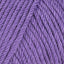 Purple (70)