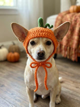 Dog hat