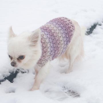 Criss cross dog sweater in 3 sizes