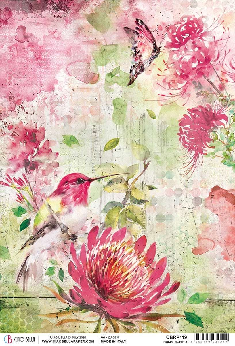 Ciao Bella Rice Paper Sheet A4 5/Pkg - Hummingbird, Microcosmos