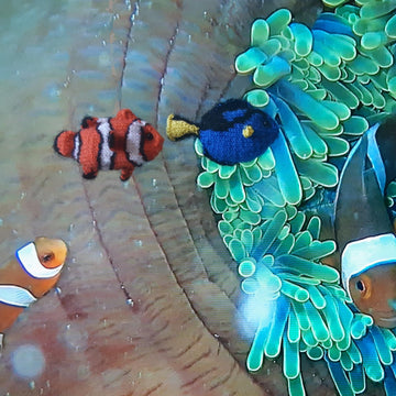 Nemo & Dory seascape