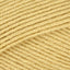 Antique Gold (3442)