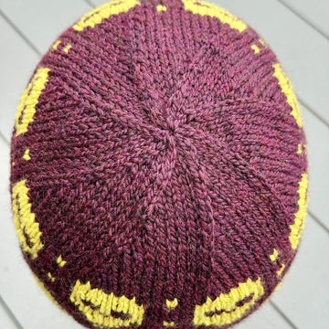 South Philly Skulls Beanie