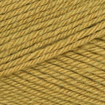 Antiquity (117)