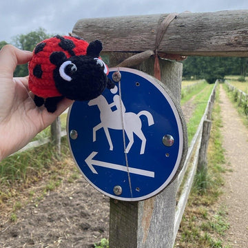 Ladybug