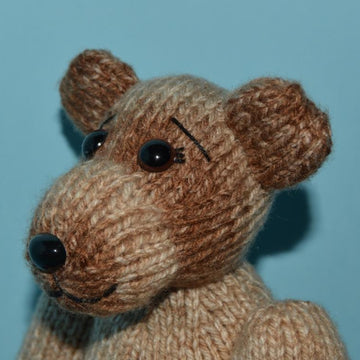 Peggy The Pioneer Bear