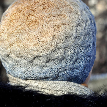 Old College Club Hat