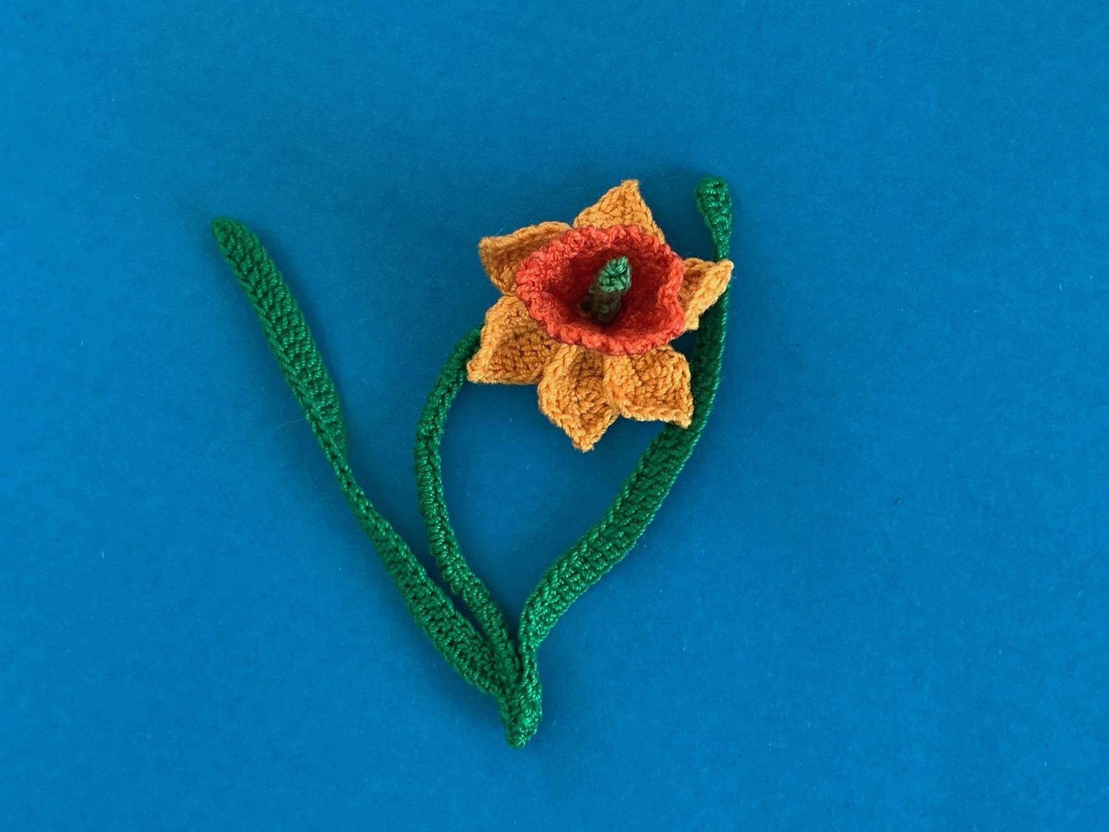 Daffodil