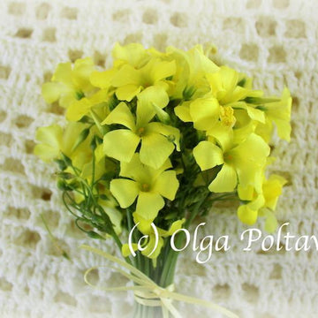 Buttercups Baby Lace Blanket