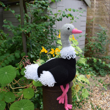 Olive Ostrich
