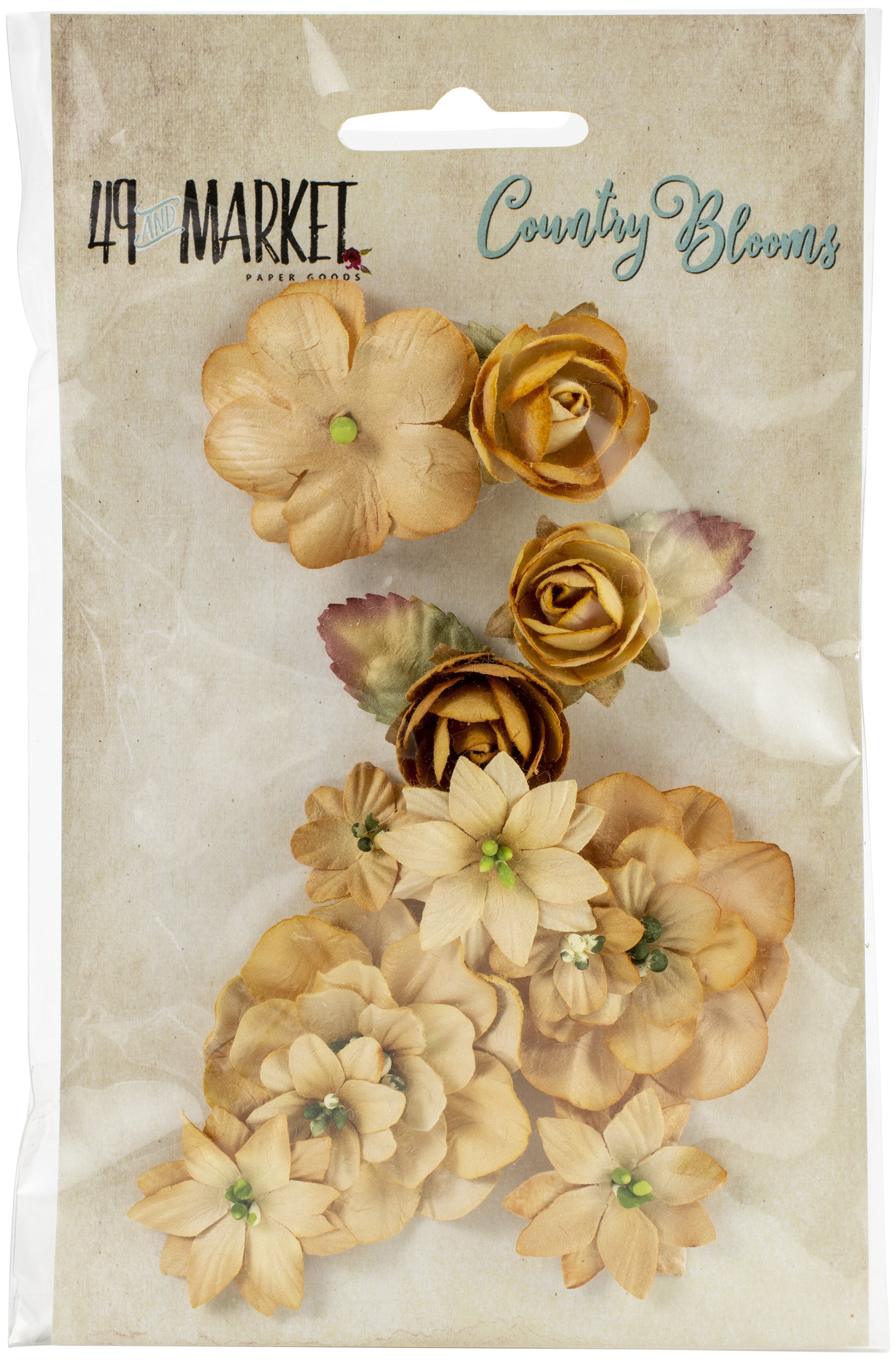 49 And Market Country Blooms 12/Pkg - Ginger