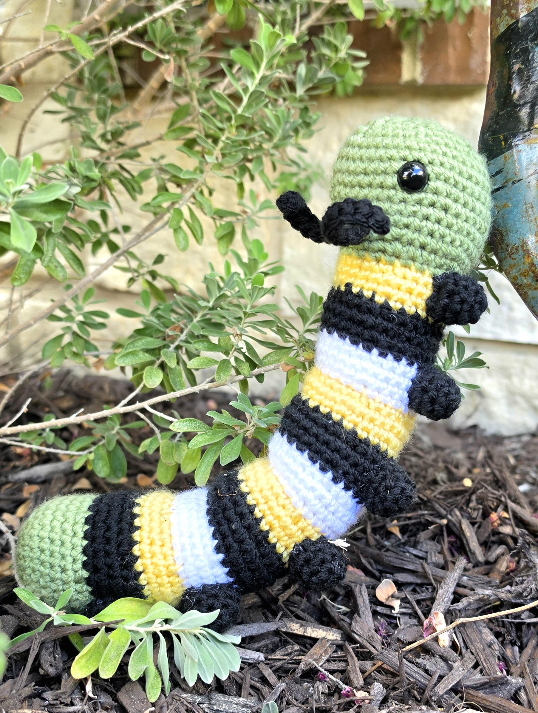 Wally the Wandering Caterpillar
