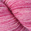 Pinks (8)