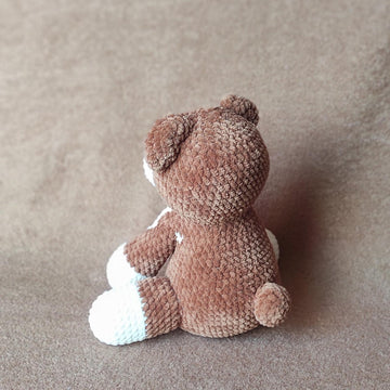 THE CHUBBY TEDDY BEAR