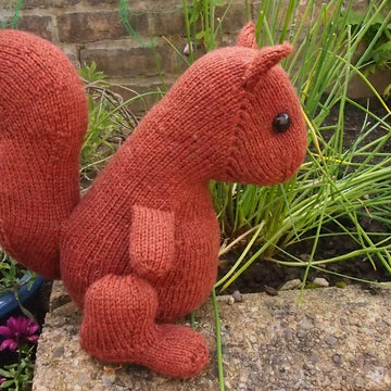 Susie Squirrel