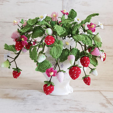 Strawberry Plant